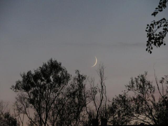 17.11.2020 Das Neulicht des Mondes zwei Tage nach Neumond bei meinem Spaziergang am Donaukanal