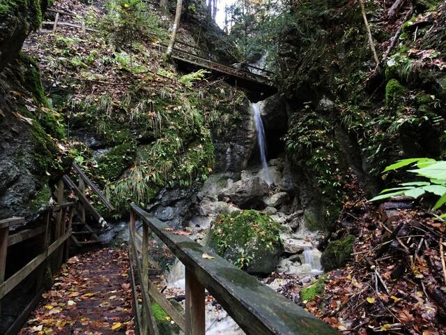 Naturdenkmal Steinwandklamm - Furth, Triestingtal (Bezirk Baden) | Foto: © Silvia Plischek