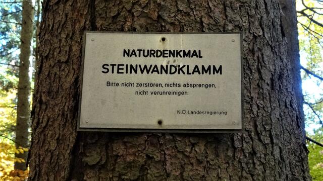 Naturdenkmal Steinwandklamm - Furth, Triestingtal (Bezirk Baden) | Foto: © Silvia Plischek