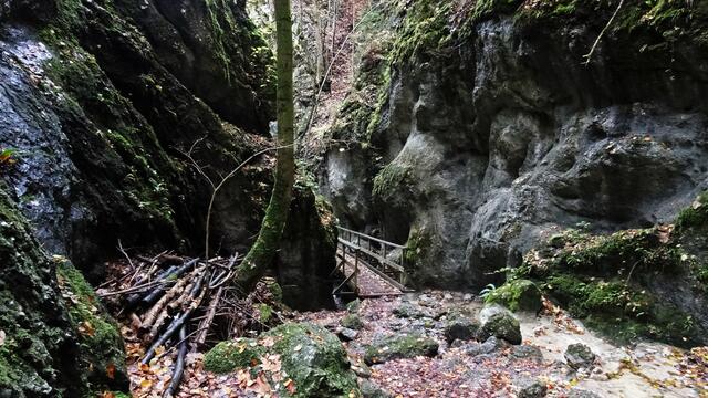 Naturdenkmal Steinwandklamm - Furth, Triestingtal (Bezirk Baden) | Foto: © Silvia Plischek