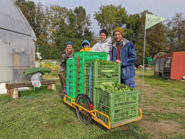 www.gmias.at – diese vier Quereinsteiger bieten wieder Mitgliedschaften für die solidarische Landwirtschaft an.