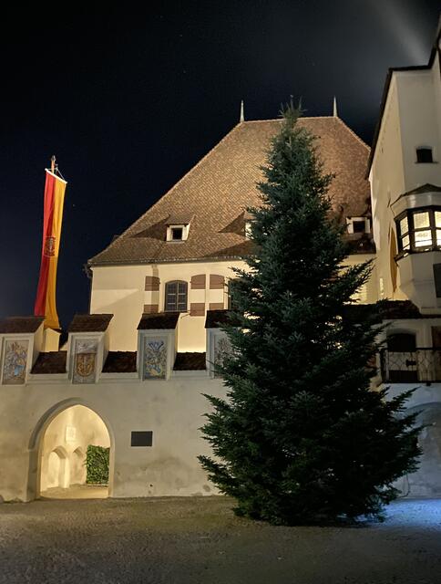 Der Haller Christbaum wurde letzte Woche vor dem Rathaus aufgestellt. Die Tanne stammt aus der Gemeinde Rum.