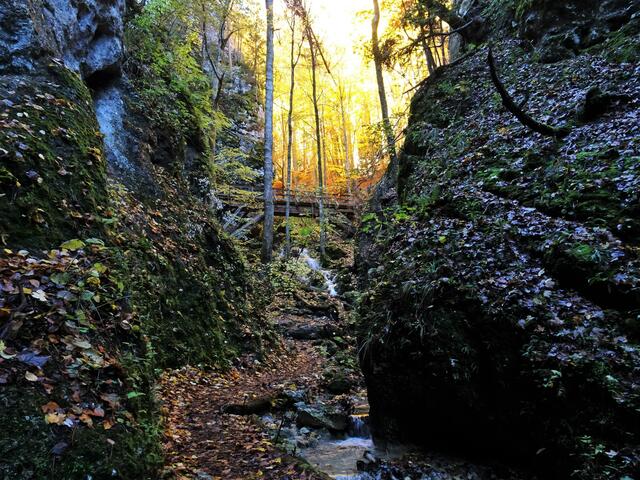 Naturdenkmal Steinwandklamm - Furth, Triestingtal (Bezirk Baden) | Foto: © Silvia Plischek