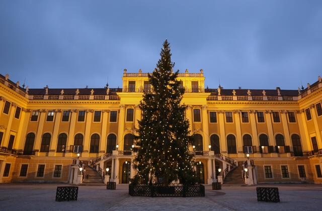 So prachtvoll präsentiert sich der Weihnachtsbaum bei der Beleuchtungsprobe | Foto: © www.weihnachtsmarkt.co.at / FOTOFALLY