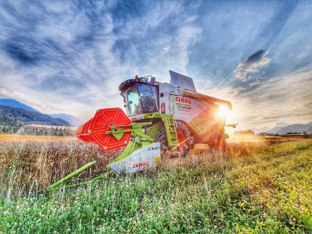 Michlfeld | Foto: Mayr