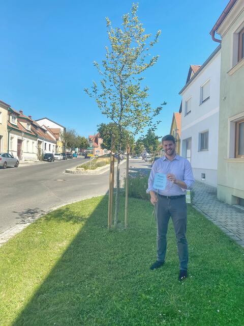 200 leere Flecken in der Gemeinde Hornstein wurden mit einem Baum bepflanzt. | Foto: Hornstein