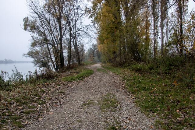 Treppelweg ist Drehort | Foto: Peter Havel