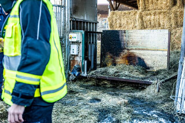 Foto: FOTOKERSCHI.AT / BAYER