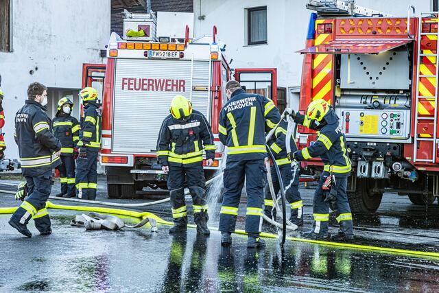 Foto: FOTOKERSCHI.AT / BAYER