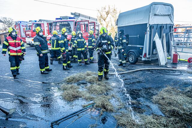 Foto: FOTOKERSCHI.AT / BAYER