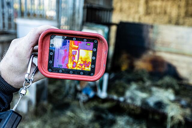 Foto: FOTOKERSCHI.AT / BAYER