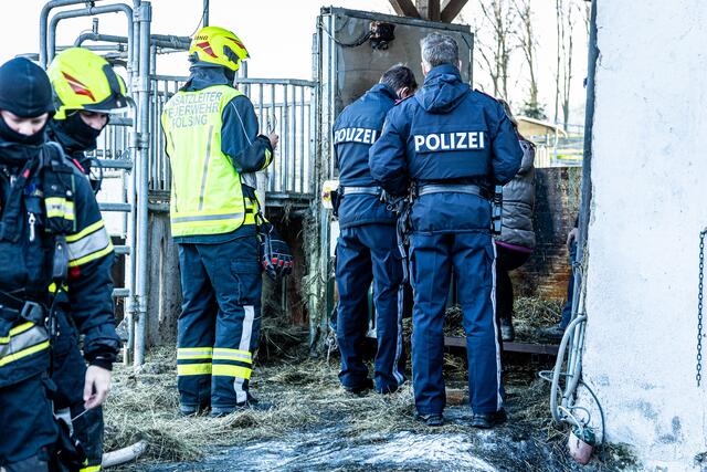 Foto: FOTOKERSCHI.AT / BAYER