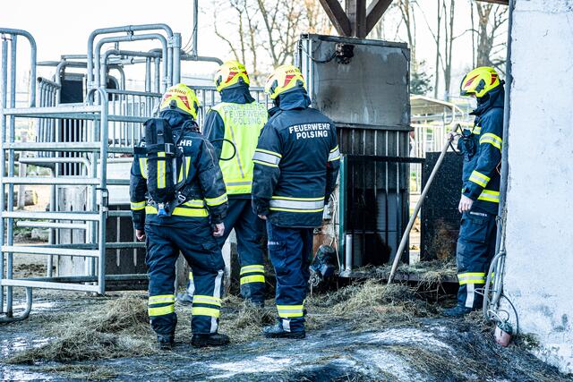 Foto: FOTOKERSCHI.AT / BAYER