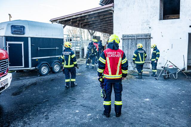 Foto: FOTOKERSCHI.AT / BAYER