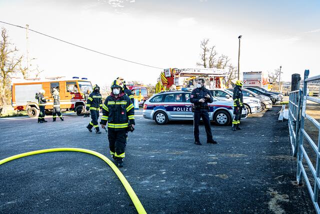 Foto: FOTOKERSCHI.AT / BAYER