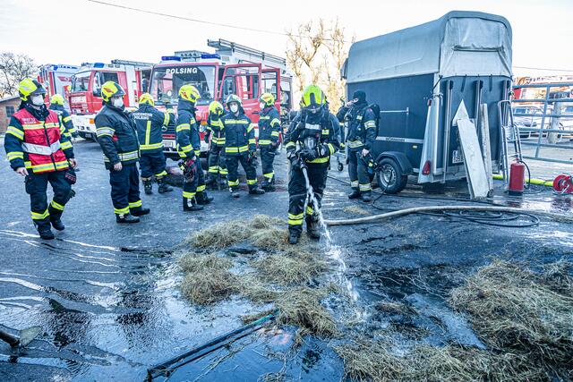 Foto: FOTOKERSCHI.AT / BAYER