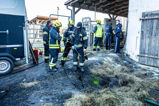 Foto: FOTOKERSCHI.AT / BAYER