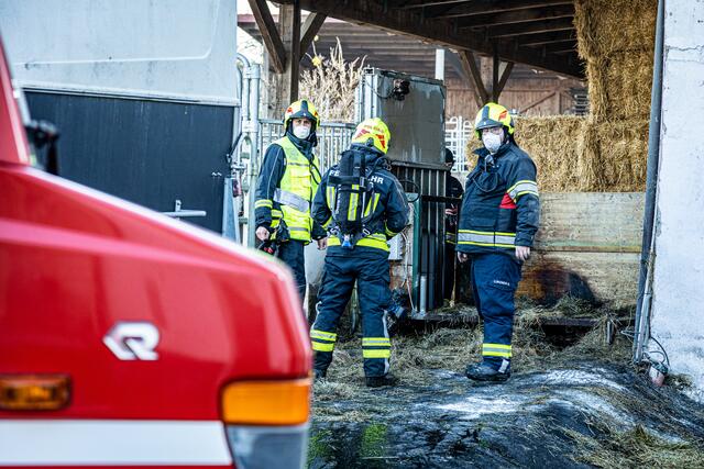 Foto: FOTOKERSCHI.AT / BAYER