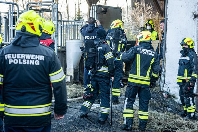 Foto: FOTOKERSCHI.AT / BAYER