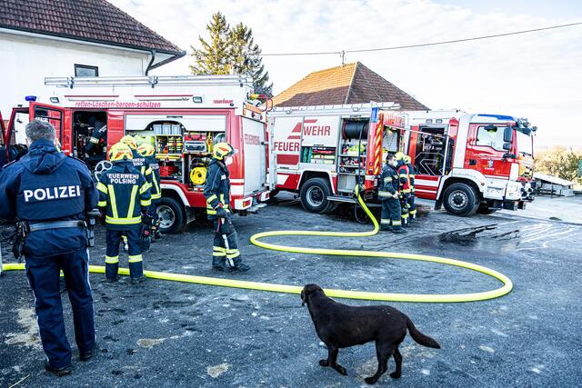 Foto: FOTOKERSCHI.AT / BAYER