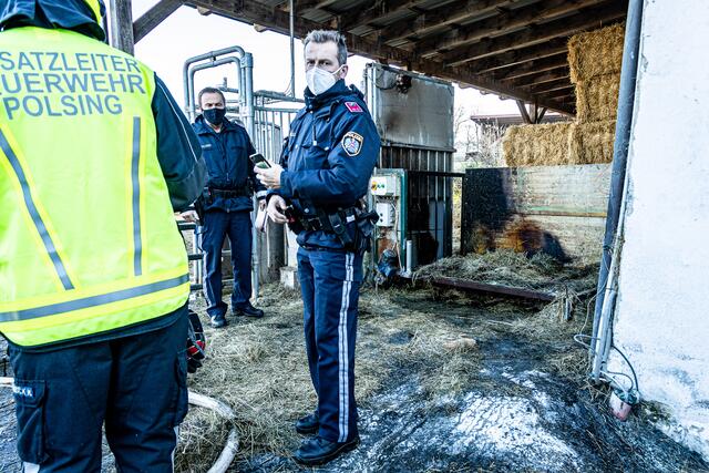 Foto: FOTOKERSCHI.AT / BAYER