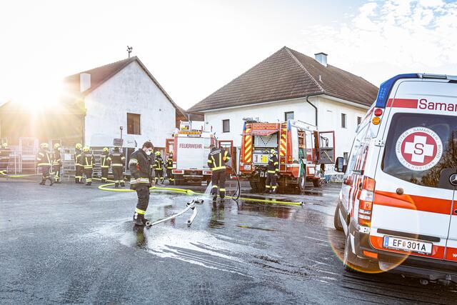 Foto: FOTOKERSCHI.AT / BAYER