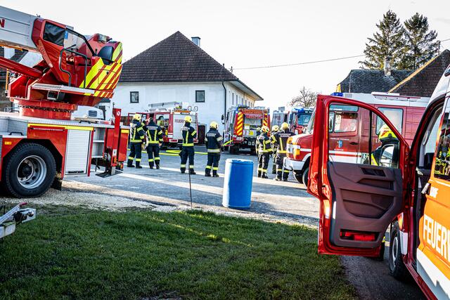 Foto: FOTOKERSCHI.AT / BAYER