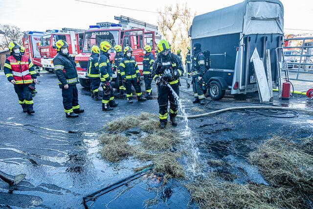 Foto: FOTOKERSCHI.AT / BAYER