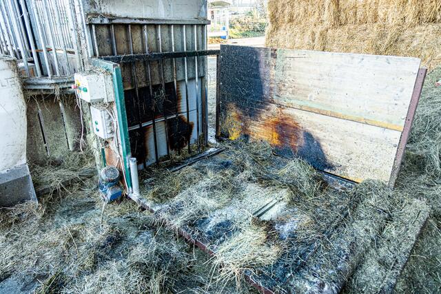 Foto: FOTOKERSCHI.AT / BAYER