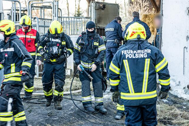 Foto: FOTOKERSCHI.AT / BAYER