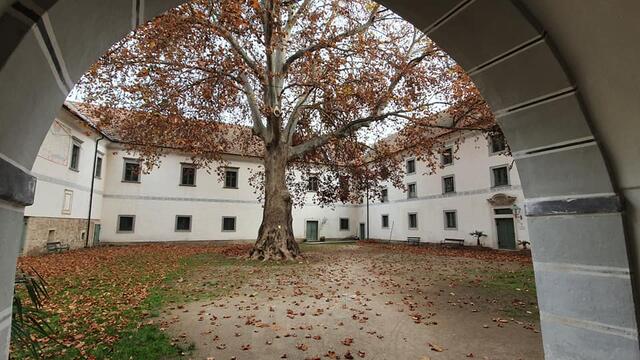 Damals & Heute TRUMAU SCHLOSS im HERBST 1138 bis 2020 Steinfeld