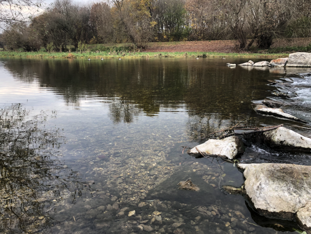 Die Traisen auf  Höhe Pottenbrunn: Man wird sehen, ob die Situation der Wasserlebewesen verbessert werden kann.  | Foto: Zeiler