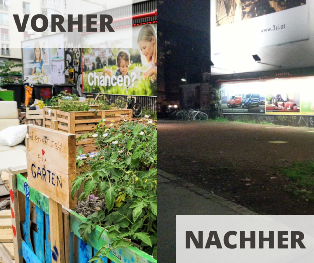 Eine Grünoase vor der Räumung - danach leider nur eine leere, traurige Fläche.