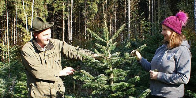 Die Christbäume werden direkt vor dem Verkauf geschnitten, damit sie möglichst lange frisch bleiben.  | Foto: Christbäume Wastlbauer