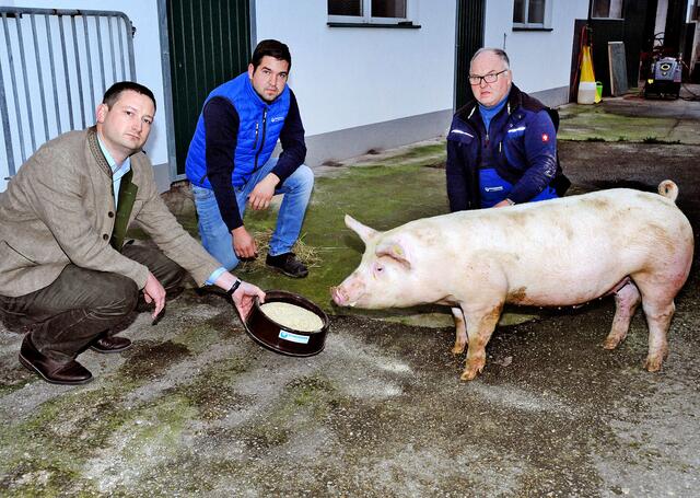 Bauernbunddirektor Paul Nemecek, Wieselburger Bauer Hubert Karlinger und Vater Franz Karlinger "wollen faire Preise“.