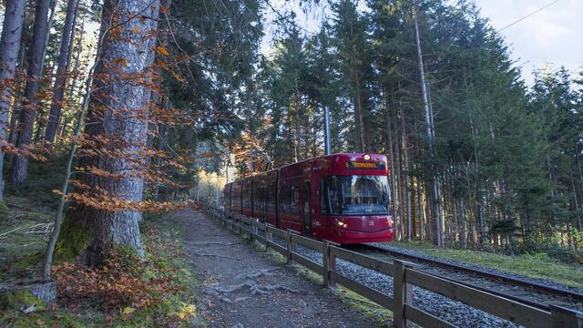 Die "6er" wird zur Waldstrassenbahn. | Foto: Manuel Wanker