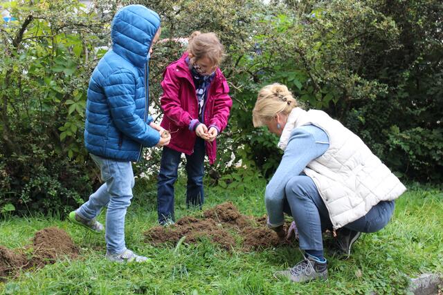 Werklehrerin Ingrid Seischegg beim Einpflanzen der Blumenzwiebeln. | Foto: Karin Auzinger