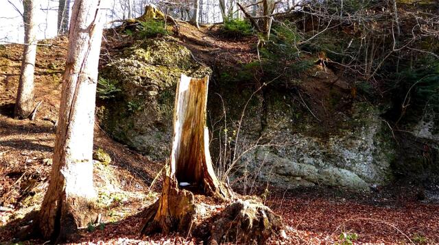 Die Stelle, wo sich der Richtplatz „Köpfstatt“ einst befunden hat. | Foto: Adolf Falb