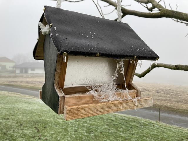 Das Vogelhäuschen von Mario Skrabal am Ringweg in Mellach