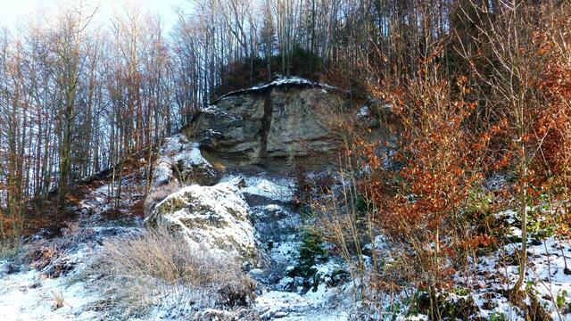 Altertümliche Befestigungsanlage auf dem Mühlberg in Schneegattern. | Foto: Adolf Falb