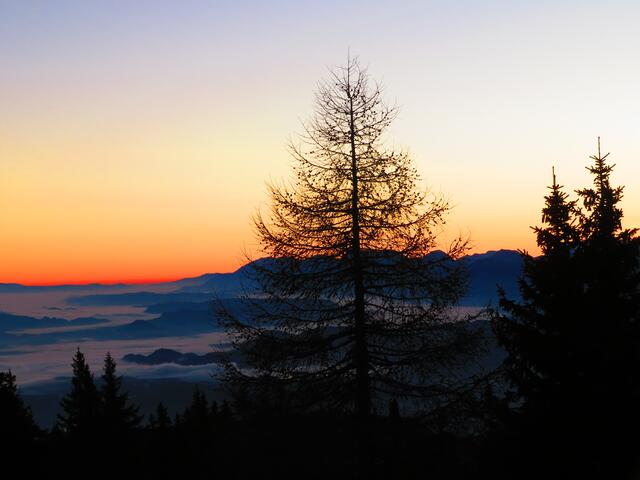Kurz vor Sonnenaufgang. Dichter Nebel über Mittel- und Unterkärnten.