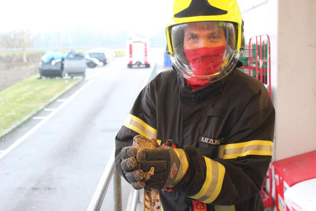 Kommandant Thomas Katzlinger mit dem geretteten Vogel | Foto: FF Haid