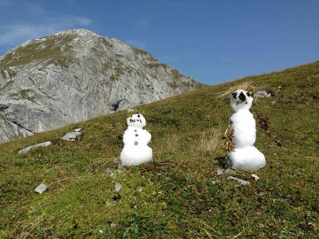 Winzige Schneemänner auf grünen Almwiesen als Vorboten vieler Auswirkungen des Klimawandels?
