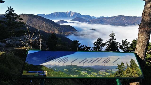 Titelbild: Der Sonne entgegen ...