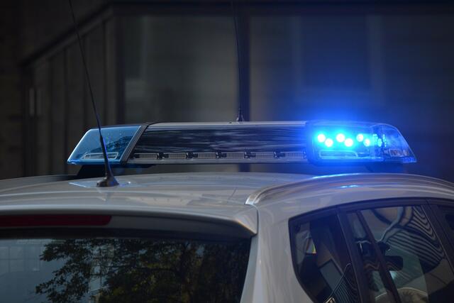 Ein deutscher Arbeiter wurde bei Forstarbeiten im Gesicht verletzt.
