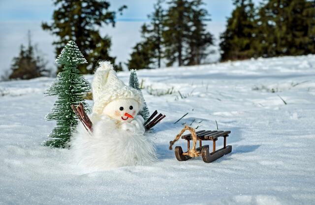 Christbaumkauf: Sobald es in den Wochen vor Weihnachten kalt wird, ist es der richtige Zeitpunkt sich um einen Christbaum umzusehen.