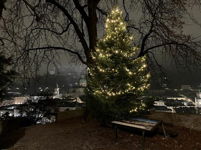 Auf dem Kapuzinerberg sorgt dieser Christbaum für weihnachtliche Stimmung.