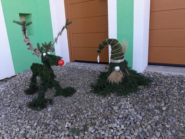 wurzelwerk thuja Lebensbaum (80 - 100 cm) als kräftige Wurzelware main image 0