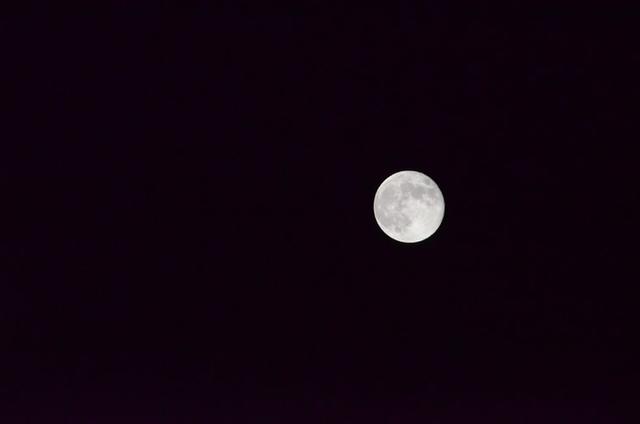 Heute Nacht sollte es eine gute Sicht auf den Mond geben