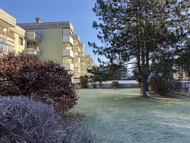 Novemberstimmung in der Siedlung. | Foto: Herbert Waltl